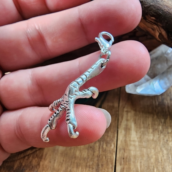 5/$25 Dragon Charm for Bracelet Raven Crow Chicken Foot Voodoo Witchy Bag Charm - Picture 1 of 13